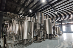 Soluzione chiavi in ​​mano per un birrificio industriale da 10.000 tonnellate/anno